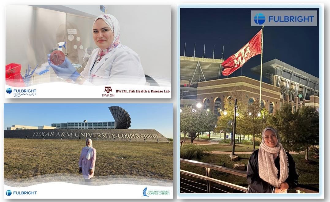 معهد الإستزراع السمكي وتكنولوجيا الأسماك يهنئ الدكتورة/ نهى إبراهيم محمد البنا على إنجازها العلمي المتميز