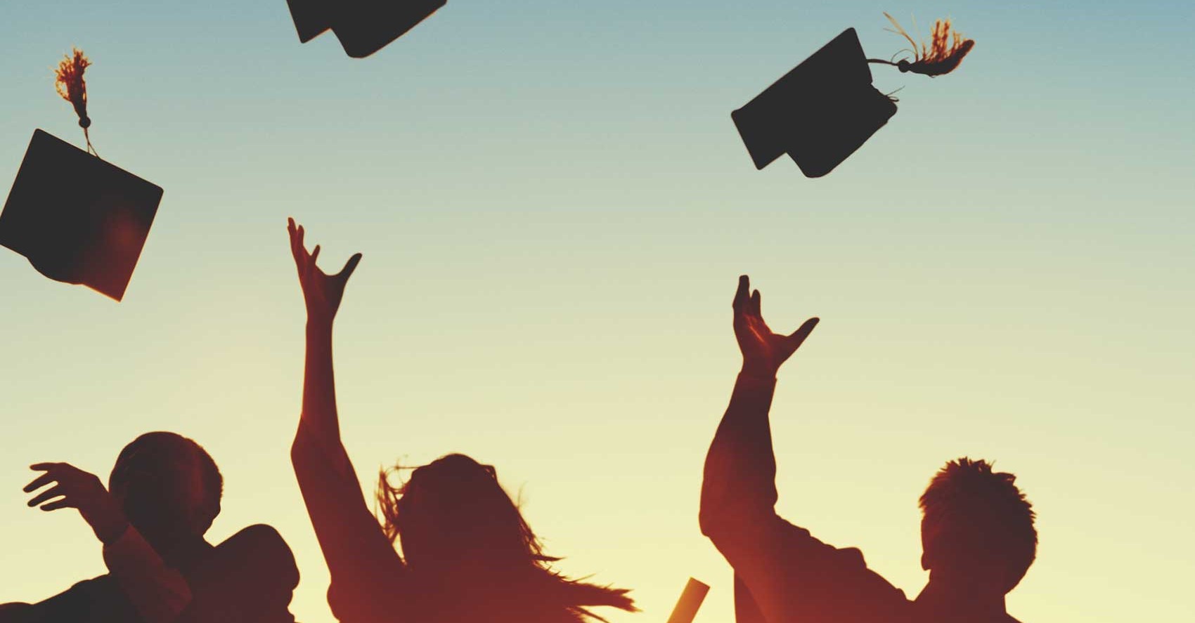 Postgraduates Overview