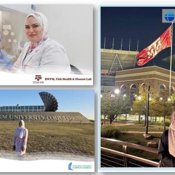 معهد الإستزراع السمكي وتكنولوجيا الأسماك يهنئ الدكتورة/ نهى إبراهيم محمد البنا على إنجازها العلمي المتميز